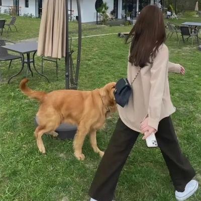 黑暗中的回声